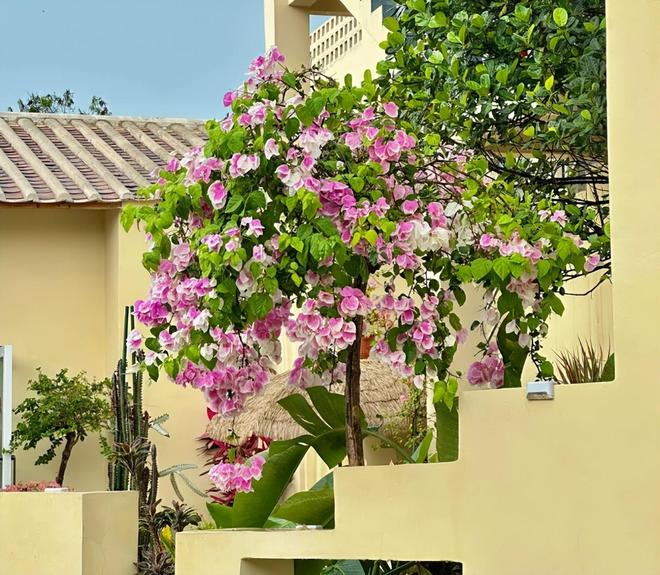 北海亲子游5天4晚价格跟团五日游报价AG真人平台北海亲子跟团游多少钱？(图2)