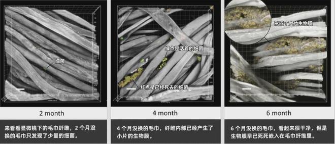 同面料毛巾！我们低价搞到了AG真人直营某东来刚上架的(图9)