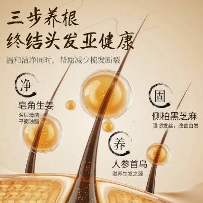 脱发洗发水品牌排行榜top10合集第一的生发产品推荐AG真人地址洗发水防脱生发哪个牌子最好2026热门防(图2)